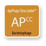 AgriPhage Citrus Canker_Isolated-01 (1)