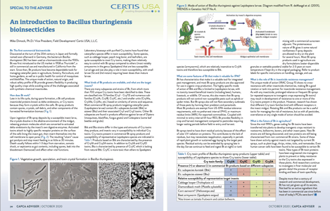 CAPCA article