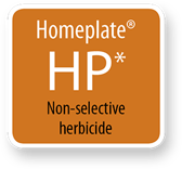 Homeplate