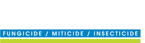 Sil-MATRIX LC