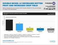 double-nickel-highbush-blueberry
