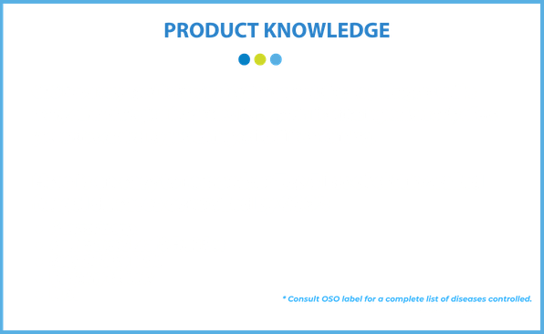 Email Data (22)