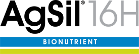 AgSil 16H Logo