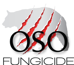 OSO Logo