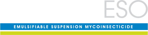 Mycotrol ESO