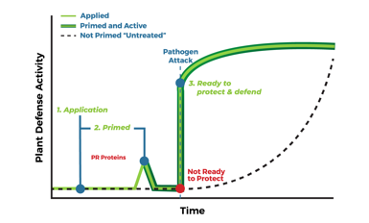 Plant Defense Activity