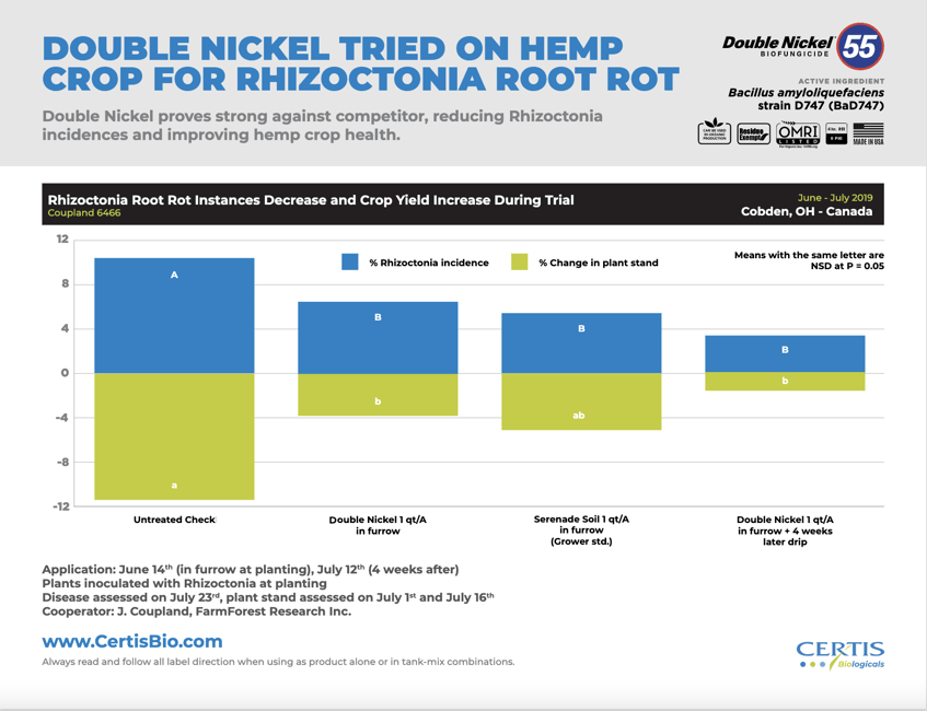 DN Hemp root for Rhizoctonia 