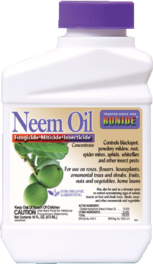 Bottle of Neem Oil.