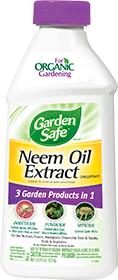Bottle of Neem Oil Extract.