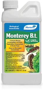 Bottle of Monterey B.t.