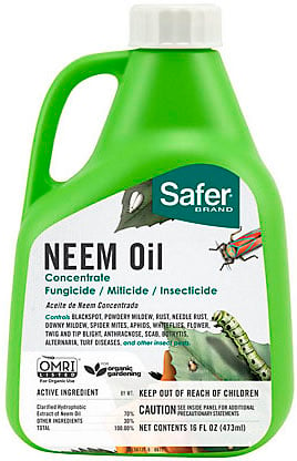 Jug of Safer® Neem Oil Concentrate. 