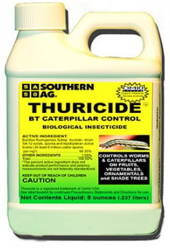 Bottle of Thuricide Bt Caterpillar Control.