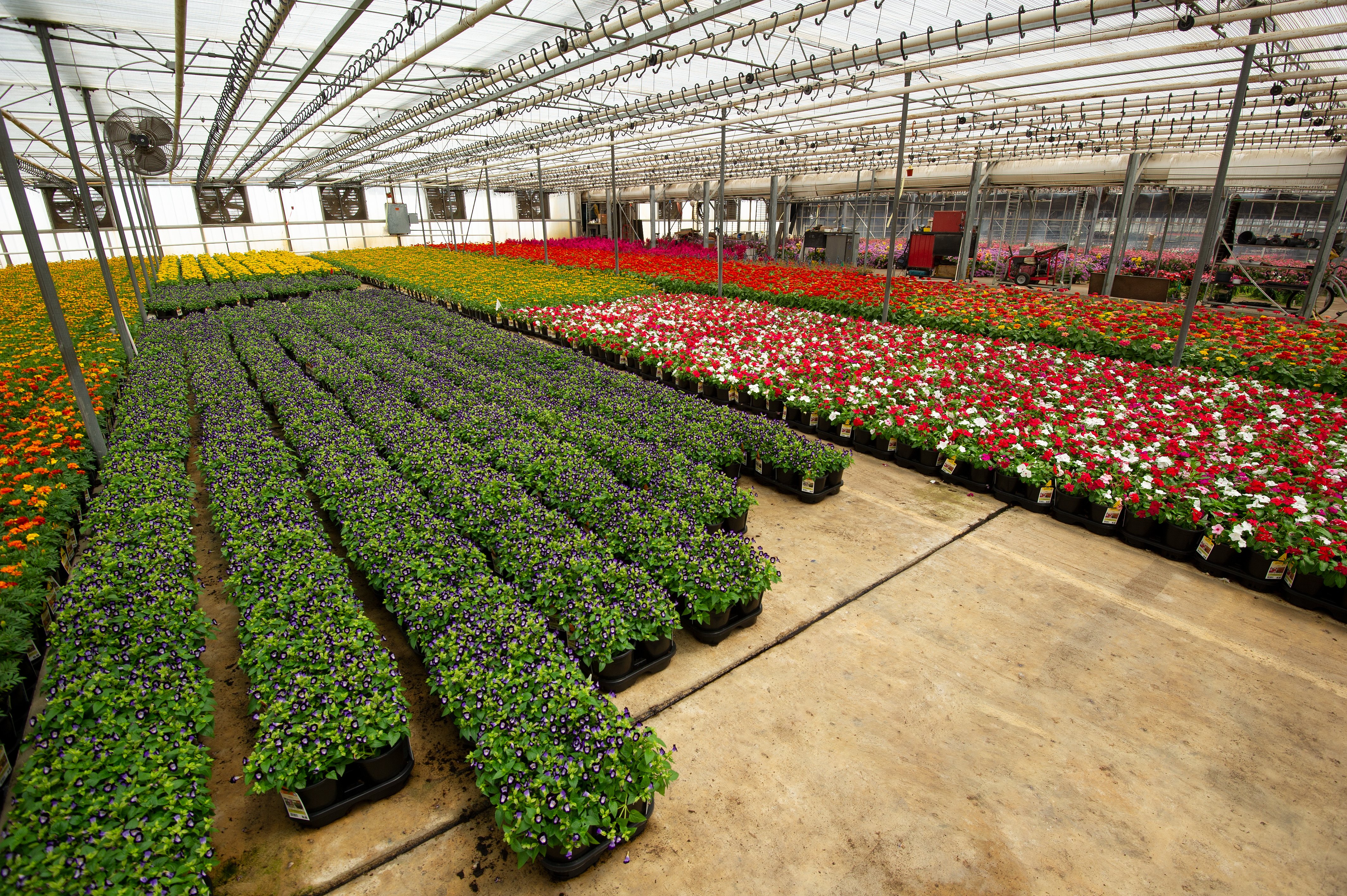 Indoor Greenhouse