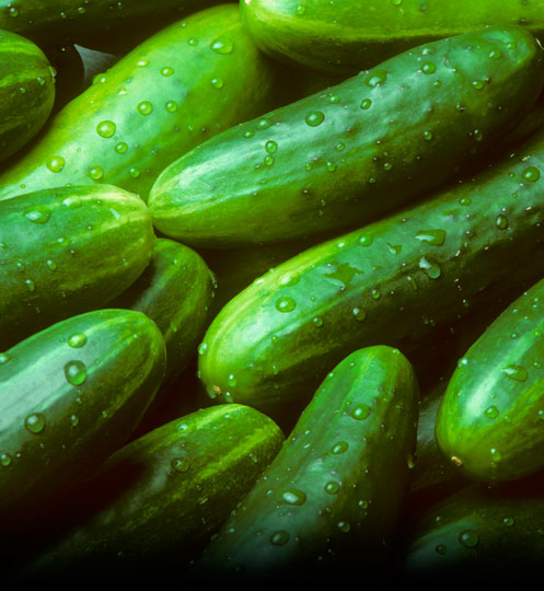 cucumbers_bg