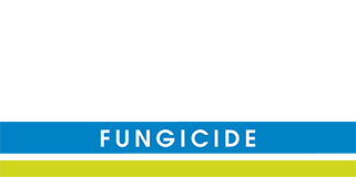 oso