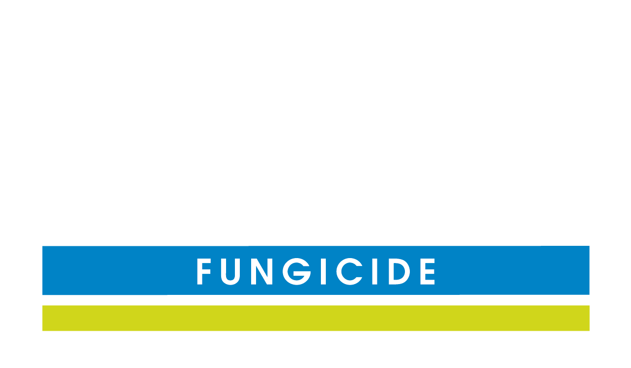 OSO logo White