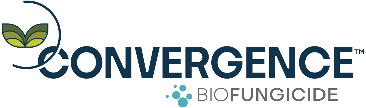 convergence-logo